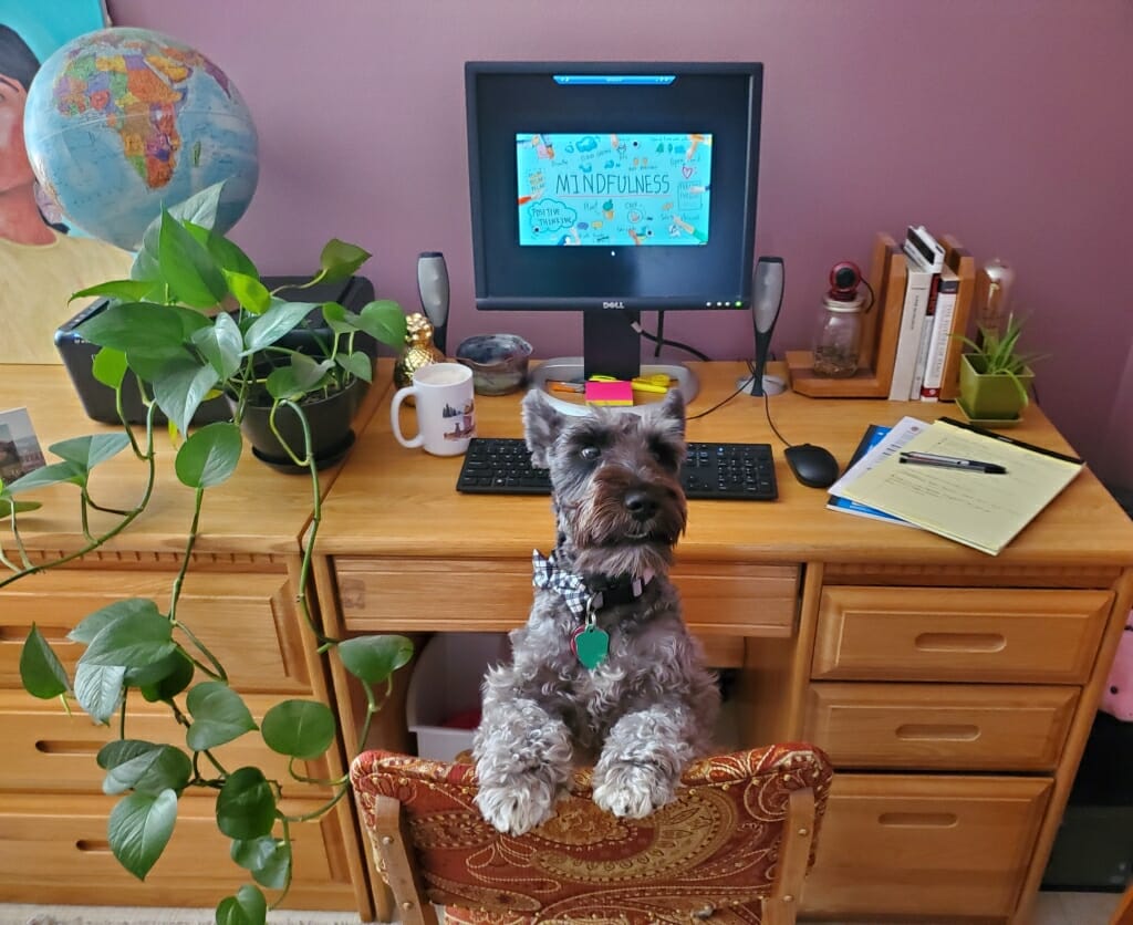 Desk with globe, plant, computer and books, with dog sitting in chair