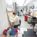 Man in white lab coat, face mask and rubber gloves working in laboratory