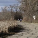 Photo of joggers, cyclists and pedestrians using a stretch of Arboretum Drive along Lake Wingra.