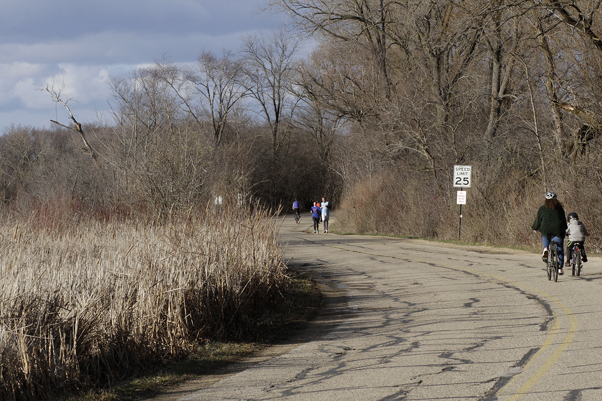 Photo of joggers, cyclists and pedestrians using a stretch of Arboretum Drive along Lake Wingra.