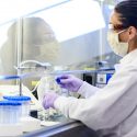 A woman wearing a white lab coat, gloves and face mask works with test tubes.