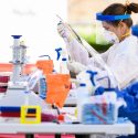 Wearing an N95 face masks, associate research specialist Miranda Stauss and senior scientist Roger Wiseman process small vials of spit collected from volunteers as part of a trial.