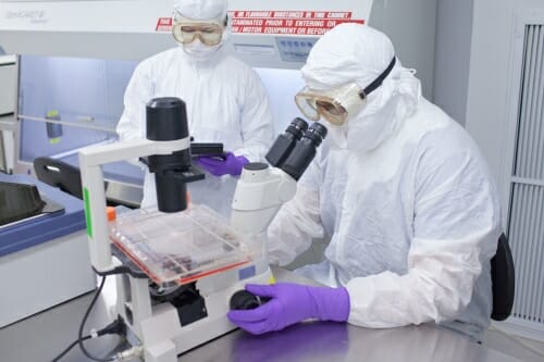 Photo of two employees in protective lab gear using a microscope