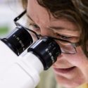 Kathy Krentz looking into a microscope