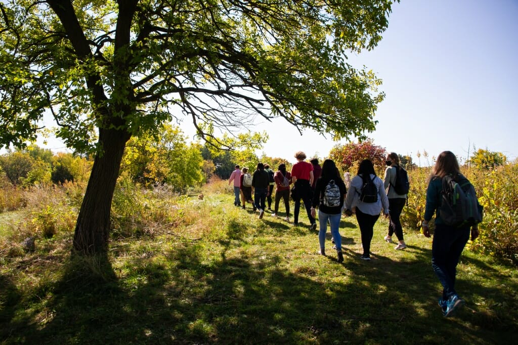 Group walking along trail past tree