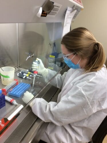 Katarina Braun working in lab