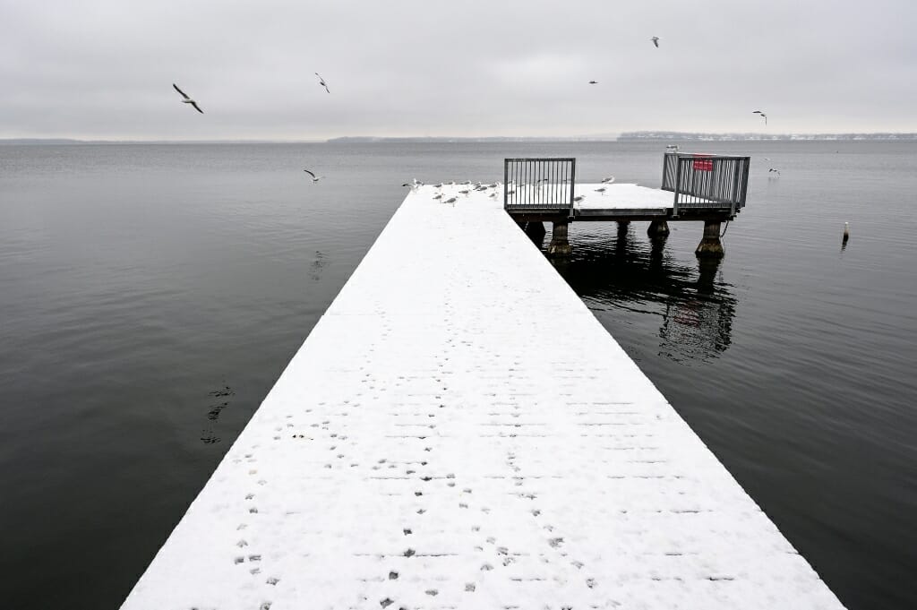 Most humans stayed inside, but some seagulls enjoyed a walk on the pier.