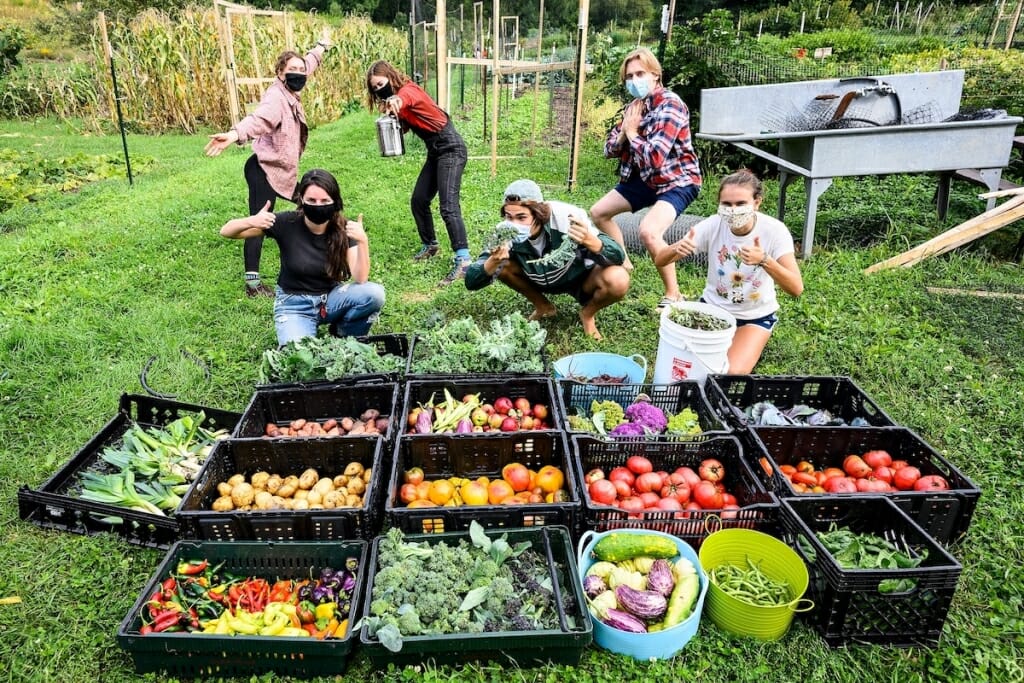 Students posing behind bins of produce