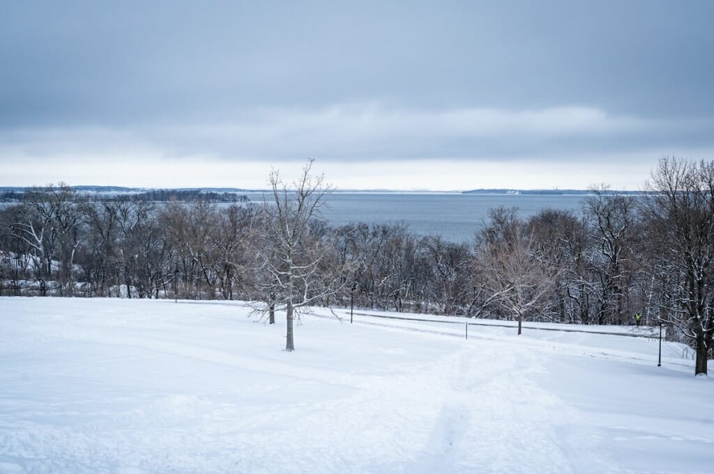 Snowy hill, bare tree, looking toward lake under cloudy sky