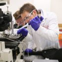 Mechanical engineering professor Christian Franck — at right, in this photo taken before the COVID-19 pandemic — and graduate student Harry Cramer prepare to deliver an impact to a network of cells in a dish, simulating the damage of a concussion-causing collision.