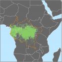 Outline maps of South America, Africa and Southeast Asia without countries labeled