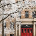 Icy tree branches contrast nicely with the iconic red entry doors of the Education Building.