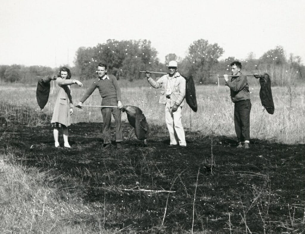 Aldo Leopold with a group in the Arboretum, performing a controlled prairie burn, ca. 1940–45.