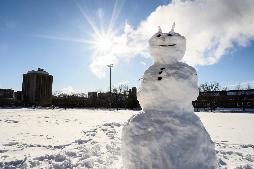 This horned snowman doesn't appear to fear the sun's warmth.