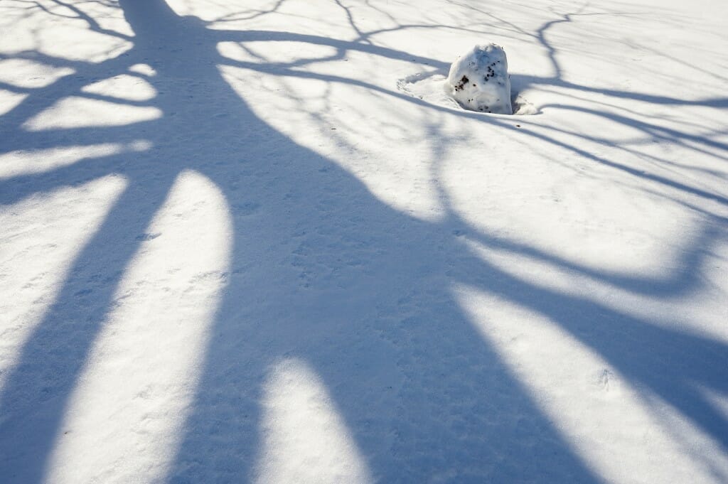 Life for a snowman can be fleeting, especially when the temperature soars to 40.
