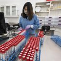 Junior biochemistry major Maria Phillip scans in COVID-19 nasal swab test samples at the Wisconsin Veterinary Diagnostic Lab.