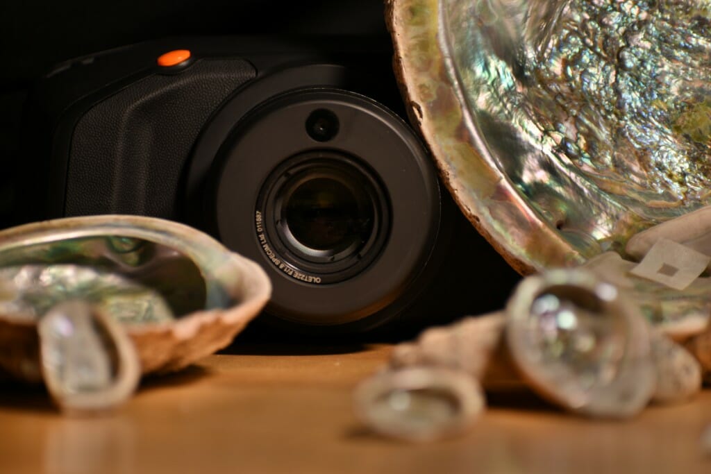 Pieces of mother-of-pearl sitting on a table next to a camera