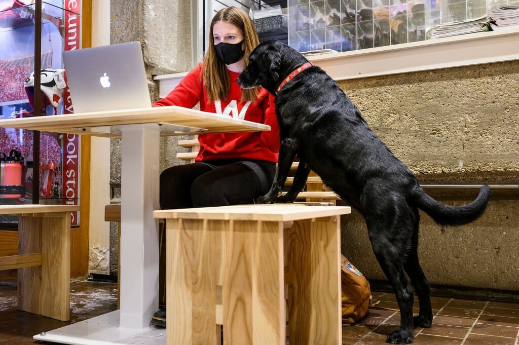 Dog leaning on bench next to student sitting at table