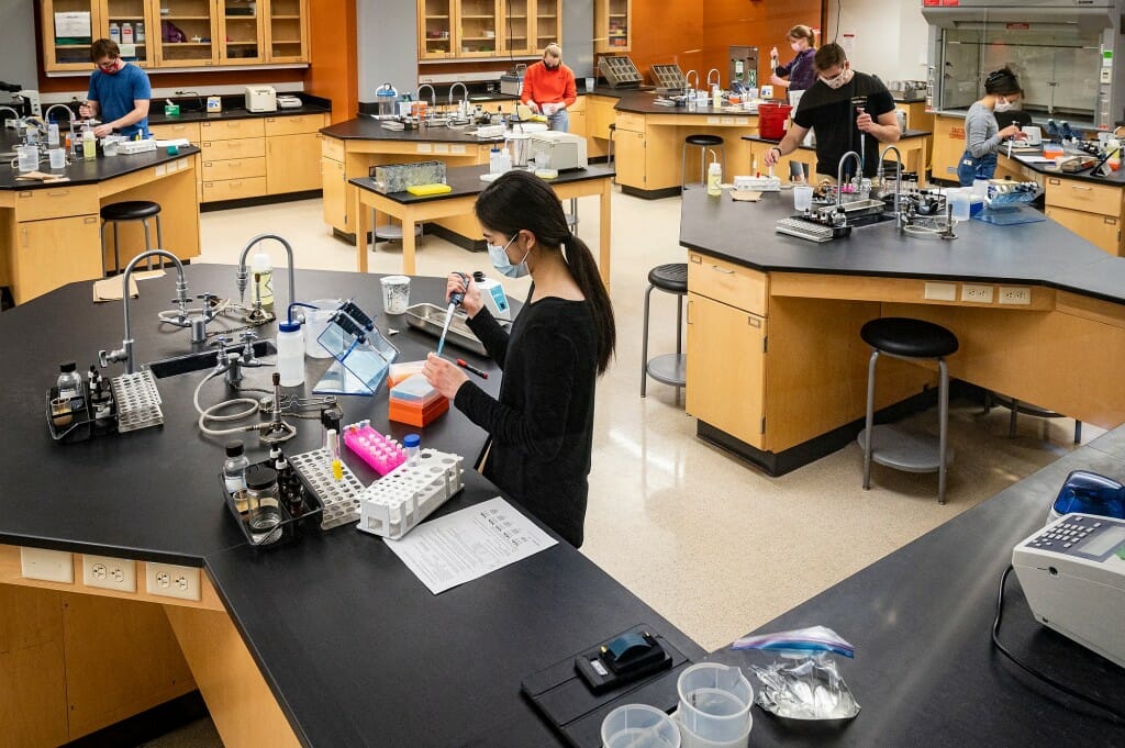 Students conduct experiments in Microbiology 304: Biology of Microorganisms, an in-person class and lab session taught by Jon Roll, faculty associate in the Department of Bacteriology, at the Microbial Sciences Building on April 22. 