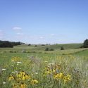 Flower-dotted marginal land in the foreground contrasts sharply with more uniform traditional croplands of corn and alfalfa in the distance. GLBRC researchers have shown that perennial crops grown on marginal lands not currently in use for food production could provide large quantities of biomass and major ecological and environmental benefits.