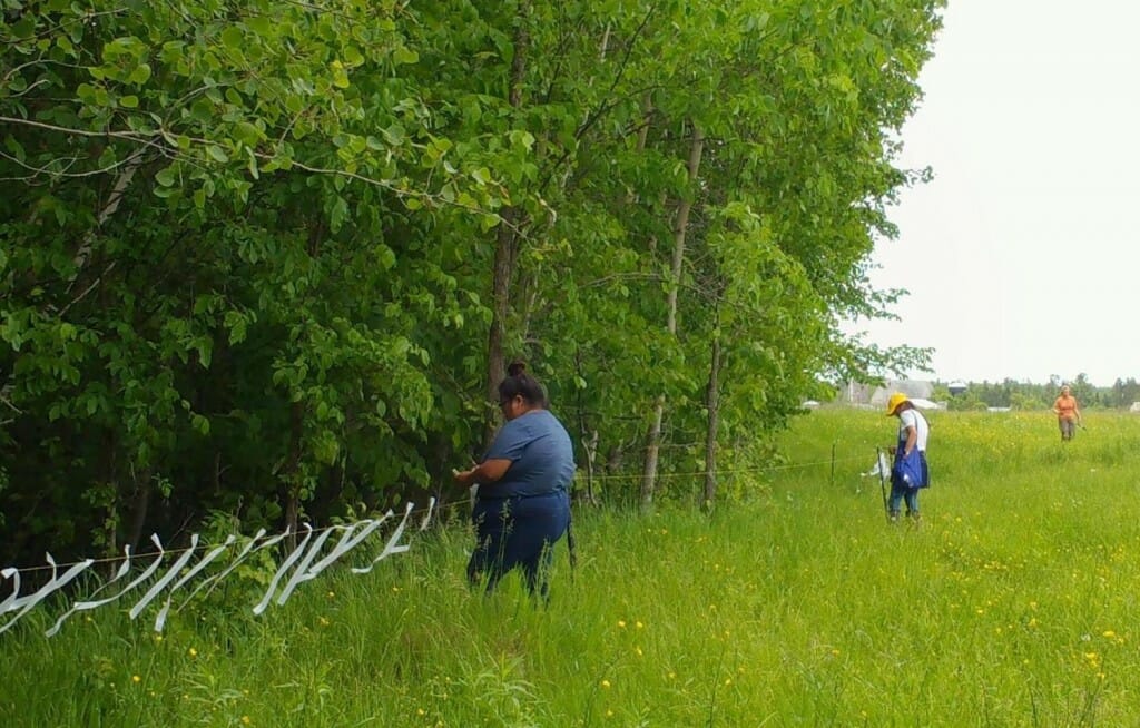 People tying streamers to a fence