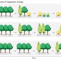 In biodiversity science, a key question is understanding how quickly ecosystems change over time. Ecosystems that undergo large changes in species composition in a very short time will have high rates of change. 