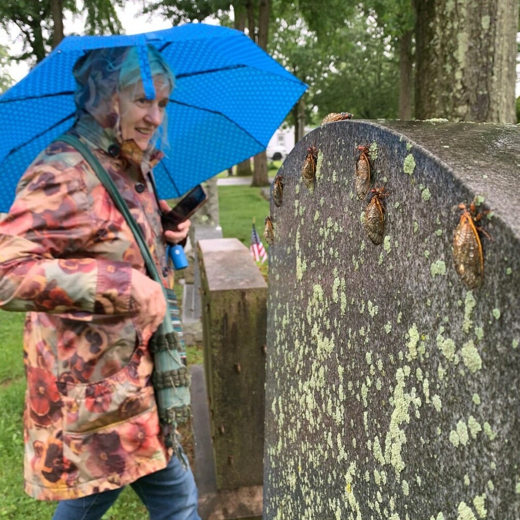 Jennifer Angus holding an umbrella and looking at cicadas on a tombstone