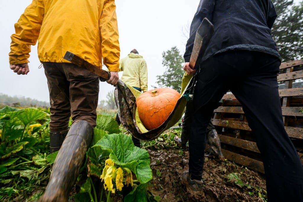 2 people carrying a pumpkin