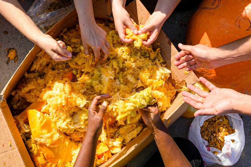 Closeup of people's hands reaching inside pumpkin