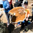 Person holding a mushroom