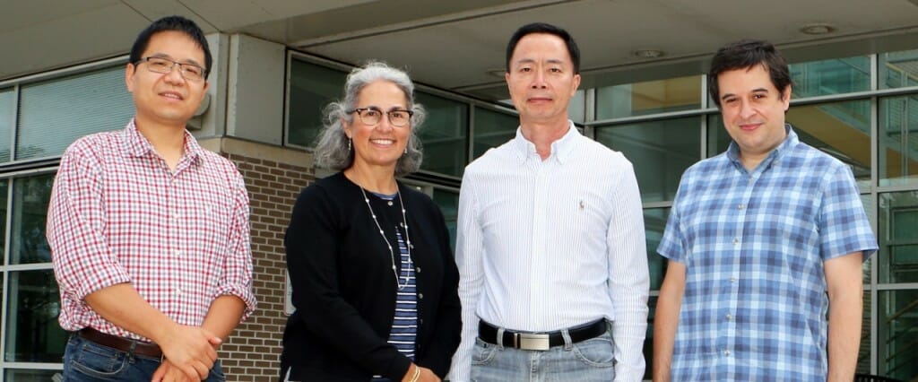 Daifeng Wang, Anita Bhattacharyya, Su-Chun Zhang and André Sousa 