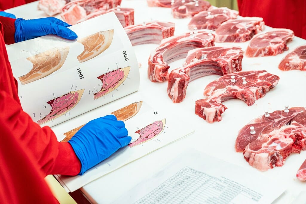 Cuts of raw meat with pushpins in them arranged on a table