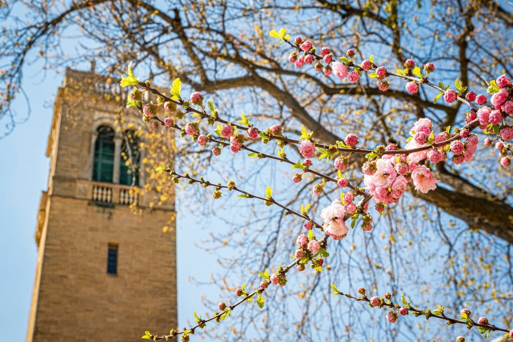 Everybody sing: “Sweet carillon (bah, bah, baaah), springtime never seemed so good ...”