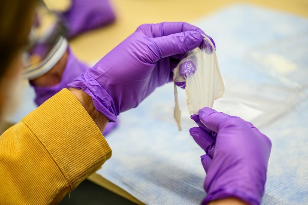 Closeup of gloved hands holding sample