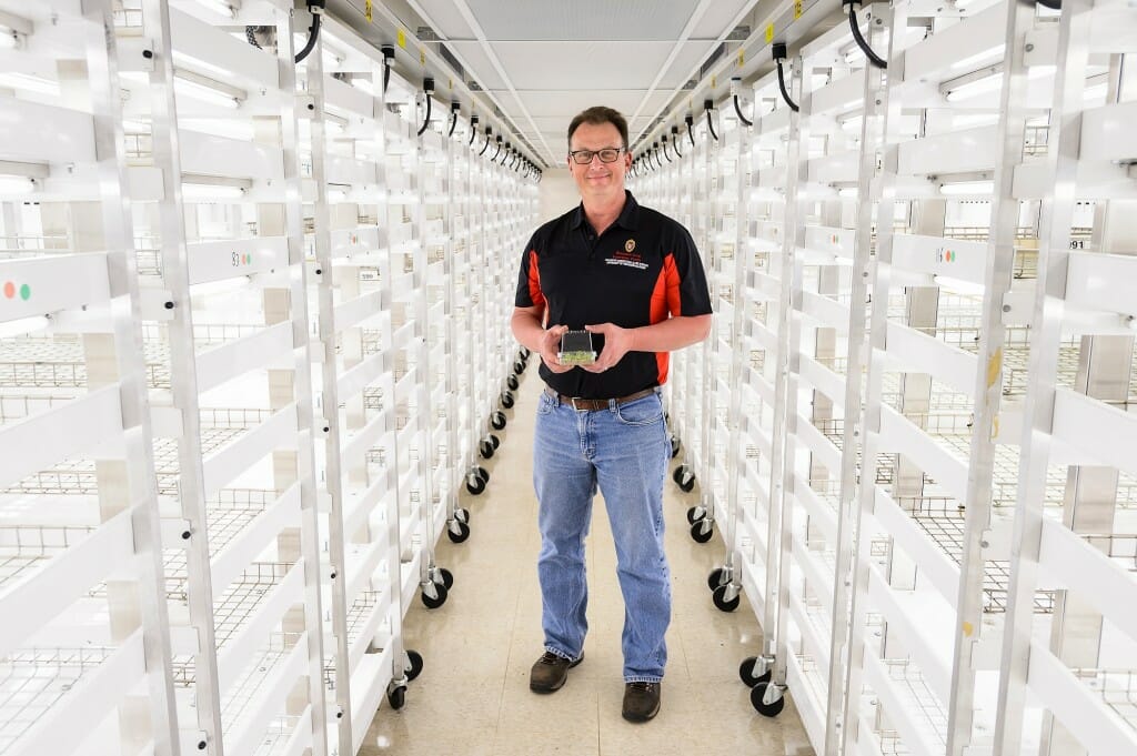 Portrait of Shawn Kaeppler standing between rows of light carts