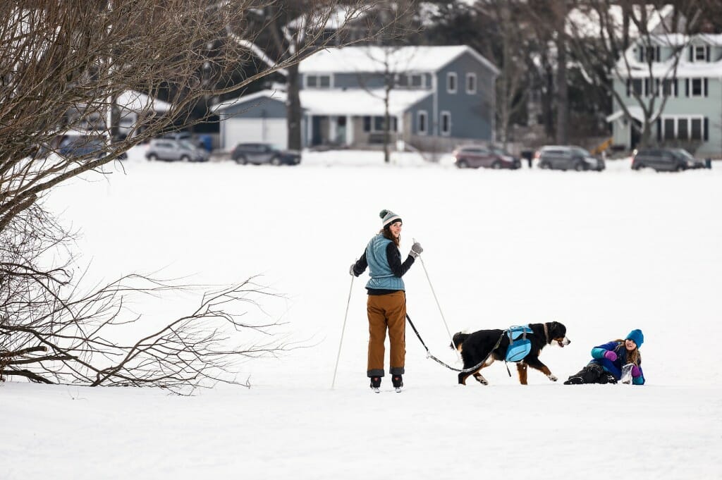 Photo: A girl feeds treats to a big dog.