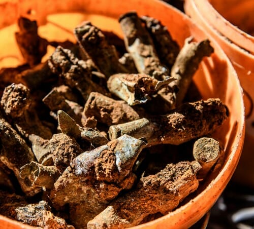 Rusty bullets in an orange bucket