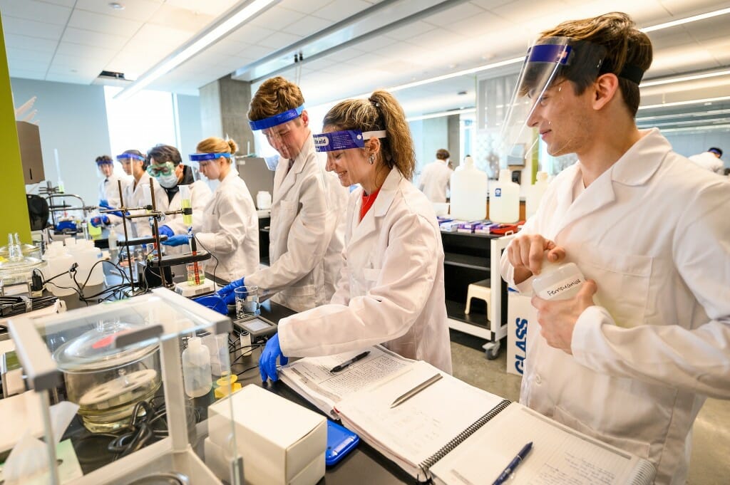 Several people lined up working at a lab bench