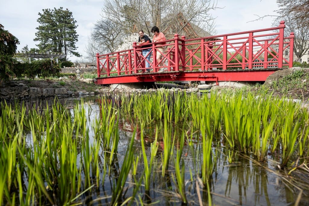 Two people standing on a footbridge with red failings