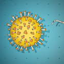 Illustration of the coronavirus