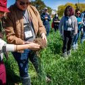 Members of the bus tour group examine a clump of roots in a crop field.