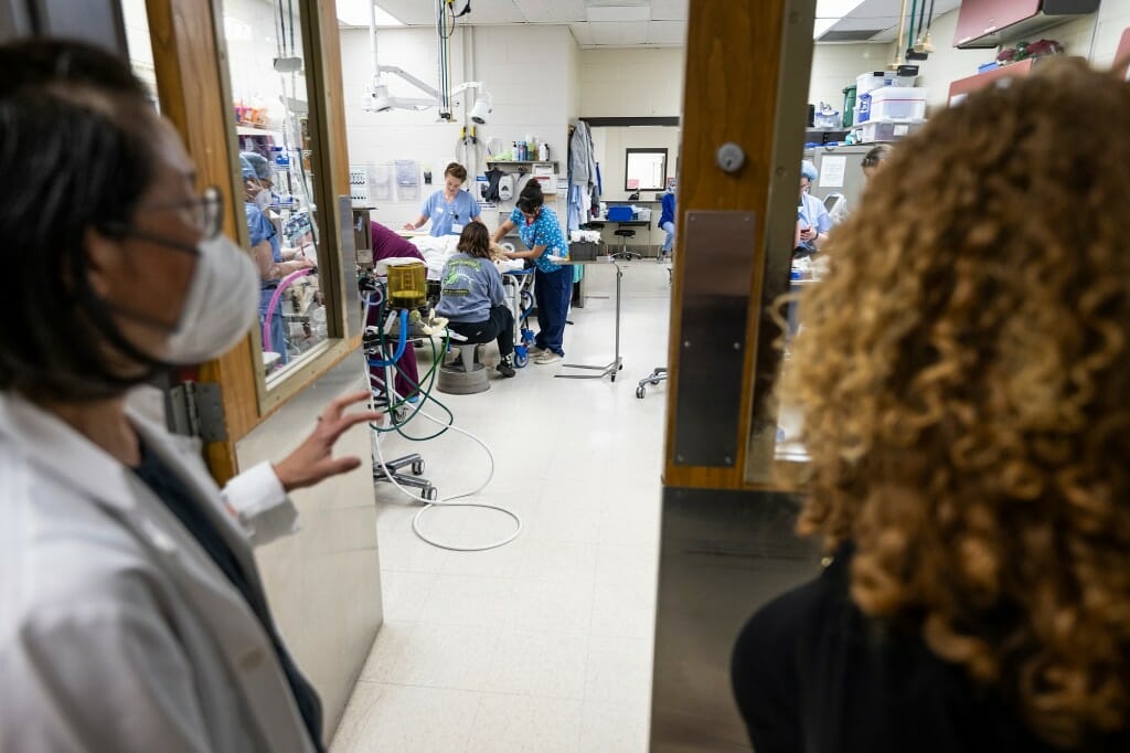 Mnookin looks through open door into veterinary care room where people in scrubs are gathered around a table