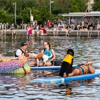 People sit on paddleboards with their dogs.