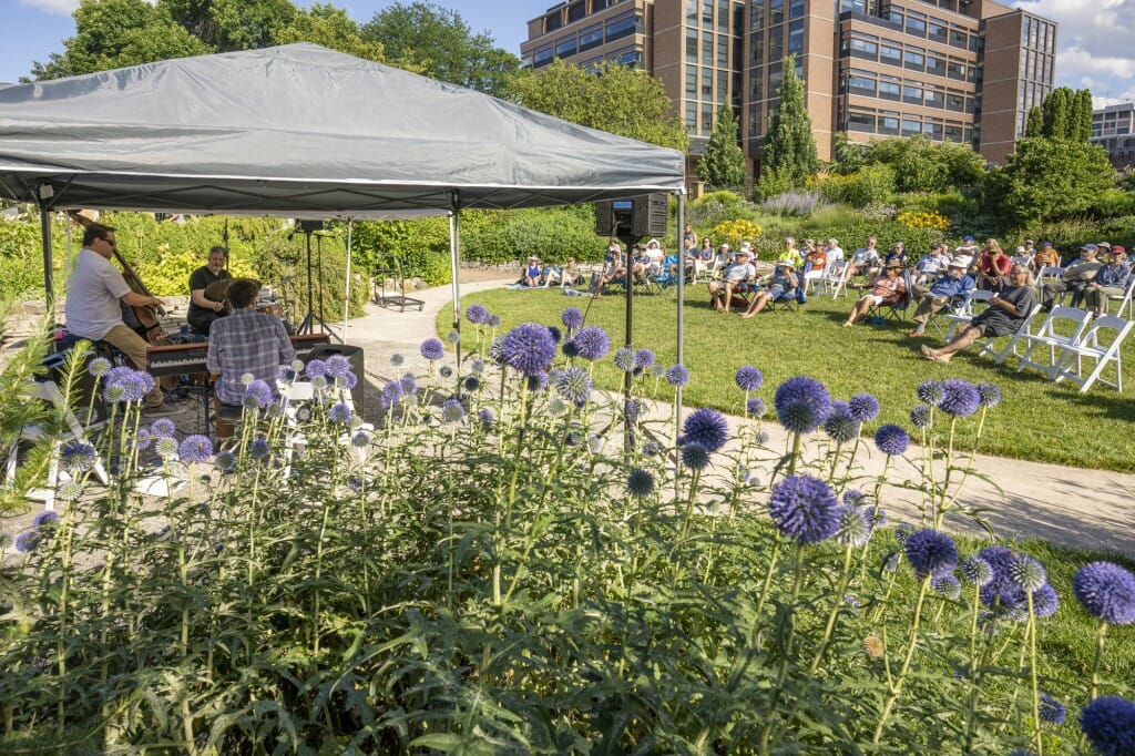 Purple globe thistle flowers were part of the colorful and fragrant setting for the concert.