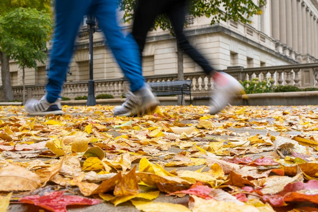 A low shot of two pairs of legs walking across a leaf-covered sidewalk