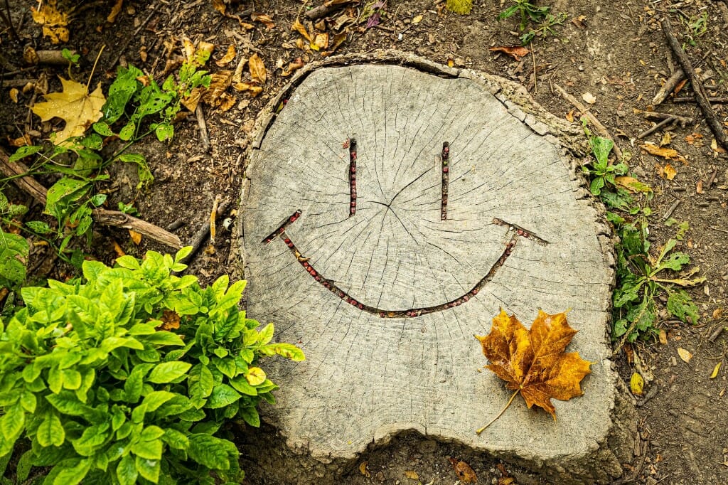 A smiley face carved into a tree stump