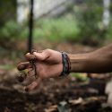 A closeup of a hand holding a jumping worm