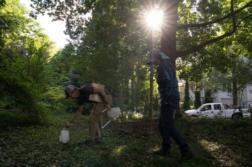 Two people backlit by sun through trees cary milk jugs and clipboards.