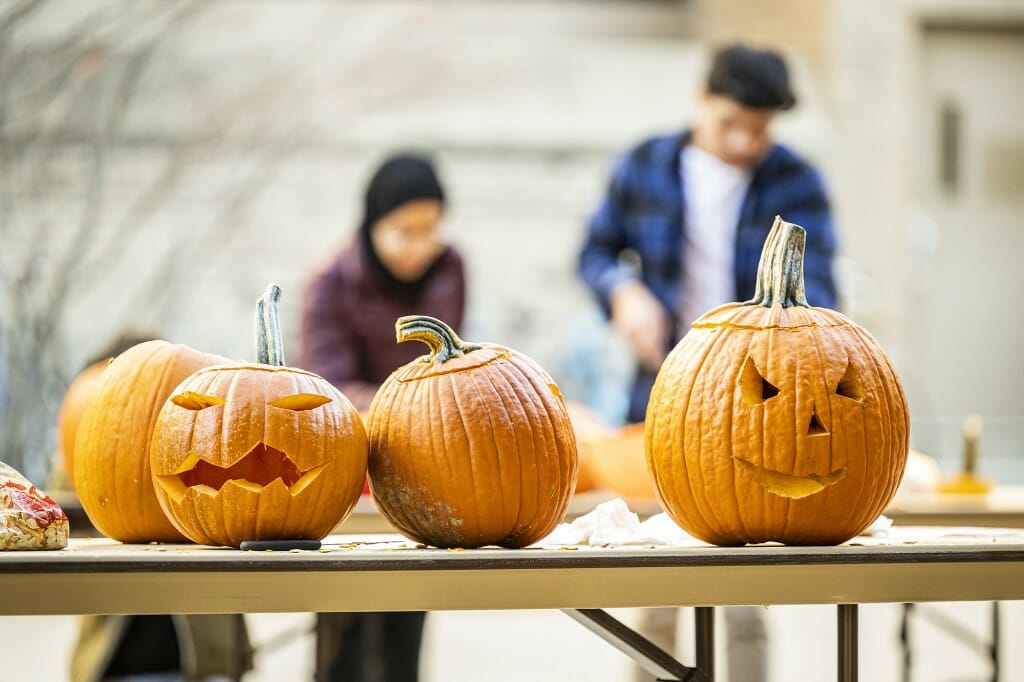 Pumpkins await Halloween night patiently.