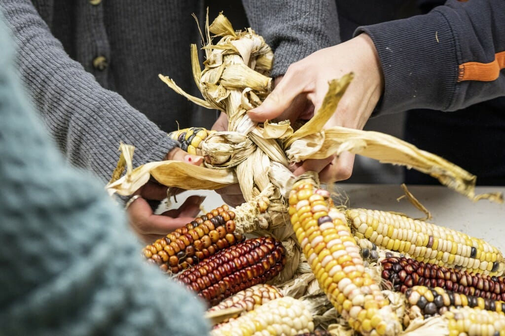 Someone's hands braid corn.